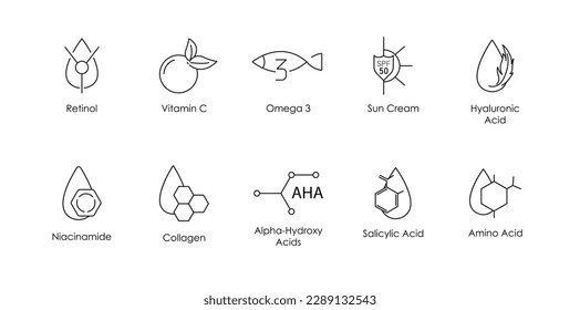 retinol, vitamina c, omega 3, crema solar, ácido hialurónico, niacinamida, colágeno, ácido alfa hidroxi, aminoácido, ácido salicílico conjunto de ilustraciones vectoriales 