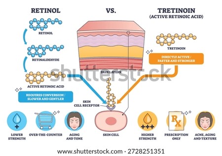 Retinol vs Tretinoin compares conversion vs direct activity with skin layers, molecules, and a skin cell receptor to show strength and use differences. Outline diagram