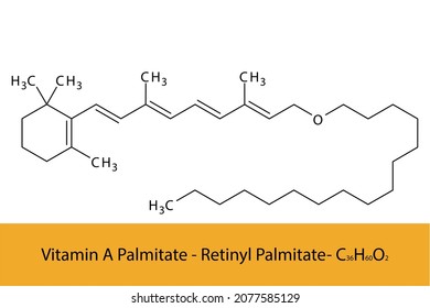 Retinyl palmitate Skeletal structure and molecular formula. Organic biomolecule, isolated vector illustration