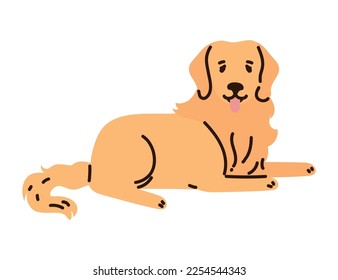 retriever dog animal icon white background