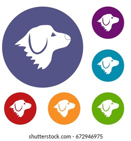 Retriever dog icons set in flat circle reb, blue and green color for web
