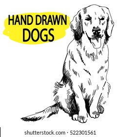 
Retriever  The dog sits sticking his tongue  Drawing by hand in vintage style 