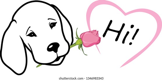 Retriever gives a rose and says hi. T-shirt design. Vector