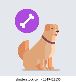 retriever icon cute dog labrador dreaming about bone furry human friends home animals concept full length vector illustration