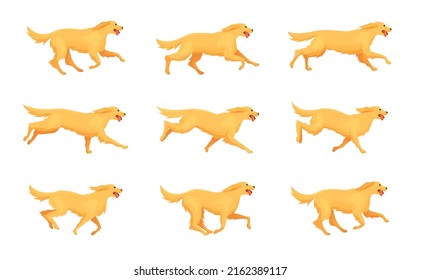 Retriever running animation. Cartoon dog run, motion sequence step character pet, animals doggy poses in movement, running and jumping puppy, vector illustration. Run animation mammal, character move