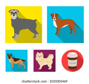 Retriever, terrier, pomeranian, and other web icon in flat style.Breed, color, training icons in set collection.