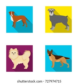 Retriever, terrier, pomeranian, and other web icon in flat style.Breed, color, training icons in set collection.