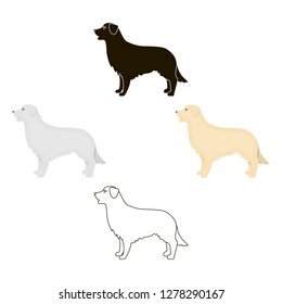 Retriever vector icon in cartoon style for web