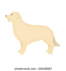 Retriever vector illustration icon in cartoon design