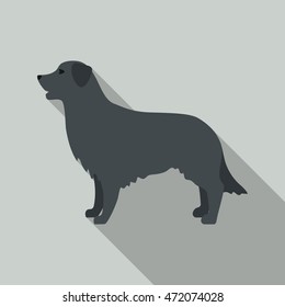 Retriever vector illustration icon in flat design