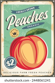 Retro advertising poster for delicious peaches. Fruit market vintage tin sign. Food vector illustration.