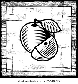 Retro apple black and white. Vector