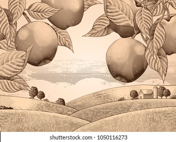 Retro apple orchard, engraving countryside scenery for design uses, attractive background