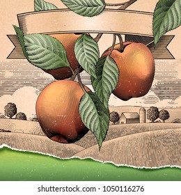 Retro apple orchard, engraving countryside scenery for design uses, attractive background