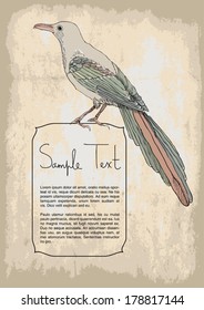 retro background with a bird