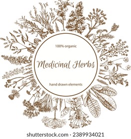 Retro background with medicinal herbs. Medicinal plants, hand drawn illustration. Retro vintage graphic design. Botanical drawing sketch