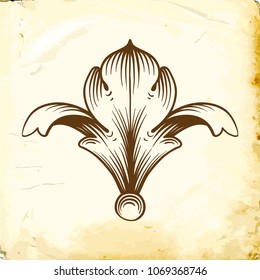 Retro baroque decorations element with flourishes calligraphic ornament. Vintage style design collection for Posters, Placards, Invitations, Banners, Badges and Logotypes.