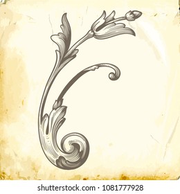 Retro baroque decorations element with flourishes calligraphic ornament. Vintage style design collection for Posters, Placards, Invitations, Banners, Badges and Logotypes.