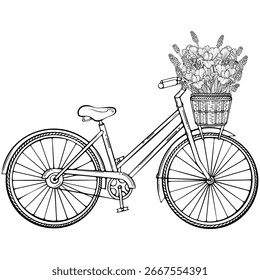 Retro-Fahrrad mit Korb aus Korbweide mit Frühlingsblumen vor. Vintage Damen City Bike. Vektorgrafik im handgezeichneten Skizzen-Doodle-Stil. Linienkunst einzeln auf Weiß zum Färben von Buch, Druck