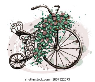 Retro bike with flowers. Color vector drawing of a retro Bicycle with flowers in watercolor style on a white background. Separate layer. Digital vector graphics.