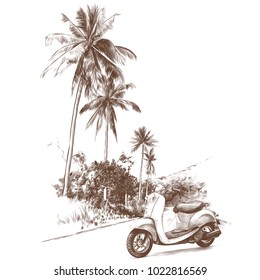 retro bike stands on the road, jungle with palm trees on the edges, sketch vector graphics monochrome pattern