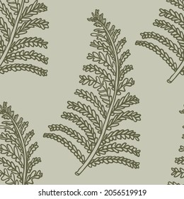 Retro botanical fern frond vector pattern. Seamless vintage ecological foliage for all over print. Hand drawn ornate forest leaf backdrop.