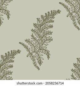 Retro botanical fern frond vector pattern. Seamless vintage ecological foliage for all over print. Hand drawn ornate forest leaf backdrop.