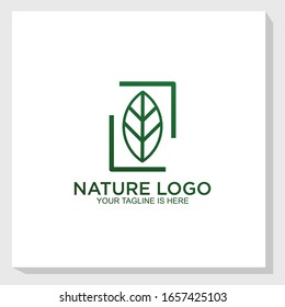 retro brand leaf logo template design vector, nature vintage logo design vector