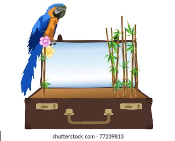Retro brown suitcase and the parrot