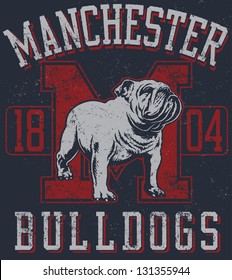 Retro "Bulldogs" athletic design complete with bulldog mascot vector illustration, vintage athletic fonts and matching textures