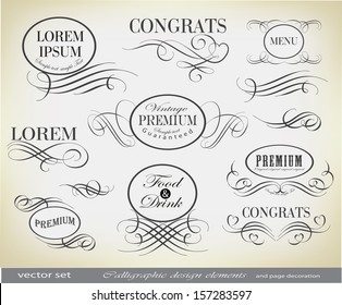 Retro calligraphic decoration/ vector