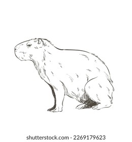 retro capybara design over white