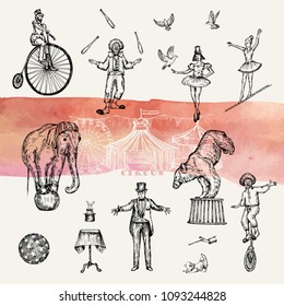 Retro circus performance set sketch stile vector illustration. Hand drawn imitation. Human and animals