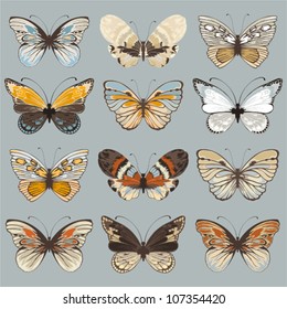 Vintage Butterfly Wallpapers  Top Free Vintage Butterfly Backgrounds   WallpaperAccess