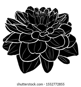 Retro dahlia silhouette isolated on white backdrop, great design for any purposes. Floral vector illustration. Romantic design.