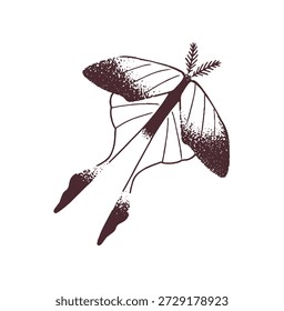Retro design of tattoo in dotwork style of abstract moth. Vintage textured sketch of butterfly. Contour flying insect with wings. Hand drawn outline isolated vector illustration on white background