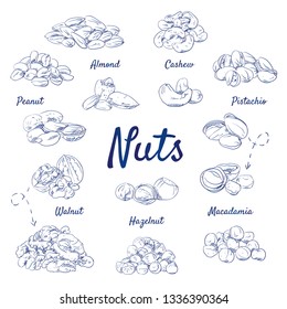 Retro doodle set of Nuts - Food, Almond, Cashew, Pistachio, Macadamia, Hazelnut, Walnut, Peanut, Snack, healthy, hand-drawn. Vector sketch illustration isolated over white background.