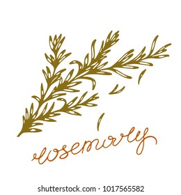 retro drawing of a romance in the style of sketching with letting, vector illustration of a spicy grass