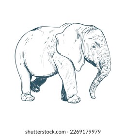retro elephant design over white