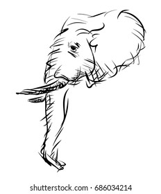 Retro Elephant Head Sketch