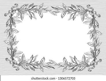 Retro etching; background. Vector  vintage border with laurel branches at engraving style. 