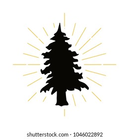 Retro fir silhouette logo. Park sign and vintage logotype. Tree icon. Ecology symbol. Vector