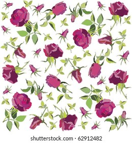 Retro floral background. Rose.eps10