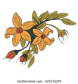 Retro floral draving. Vector for design
