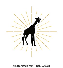 Retro giraffe silhouette logo. Wild Sahara sign and vintage logotype. Zoo icon. African symbol. Vector