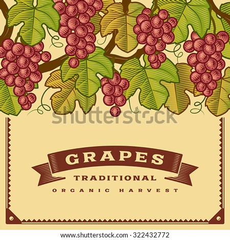 Retro grapes harvest card. Editable vector illustration with clipping mask.
