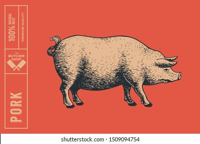 Retro graphic hand-drawn pig on red background. Engraving with farm animal for menu restaurants, for packaging in markets and shops. Vector vintage illustrations.