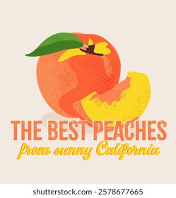 Retro Graphic Peaches with slogan typography, “THE BEST PEACHES FROM SUNNY CALIFORNIA” with retro style , vector illustration, for t-shirt graphic.