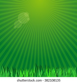 Retro green background with space for text. Natural retro floral background. Young spring green grass on a background of the sun's rays. Vector illustration.