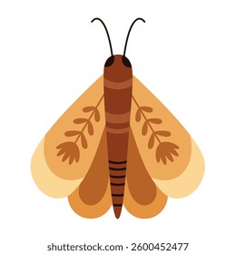 Retro groovy butterfly clipart, Boho butterfly clipart. Cute tropical character in cartoon flat style. Hand drawn vector illustration.